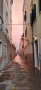 IMG20230327193125