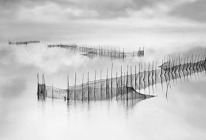 donaggioreflection2011_low